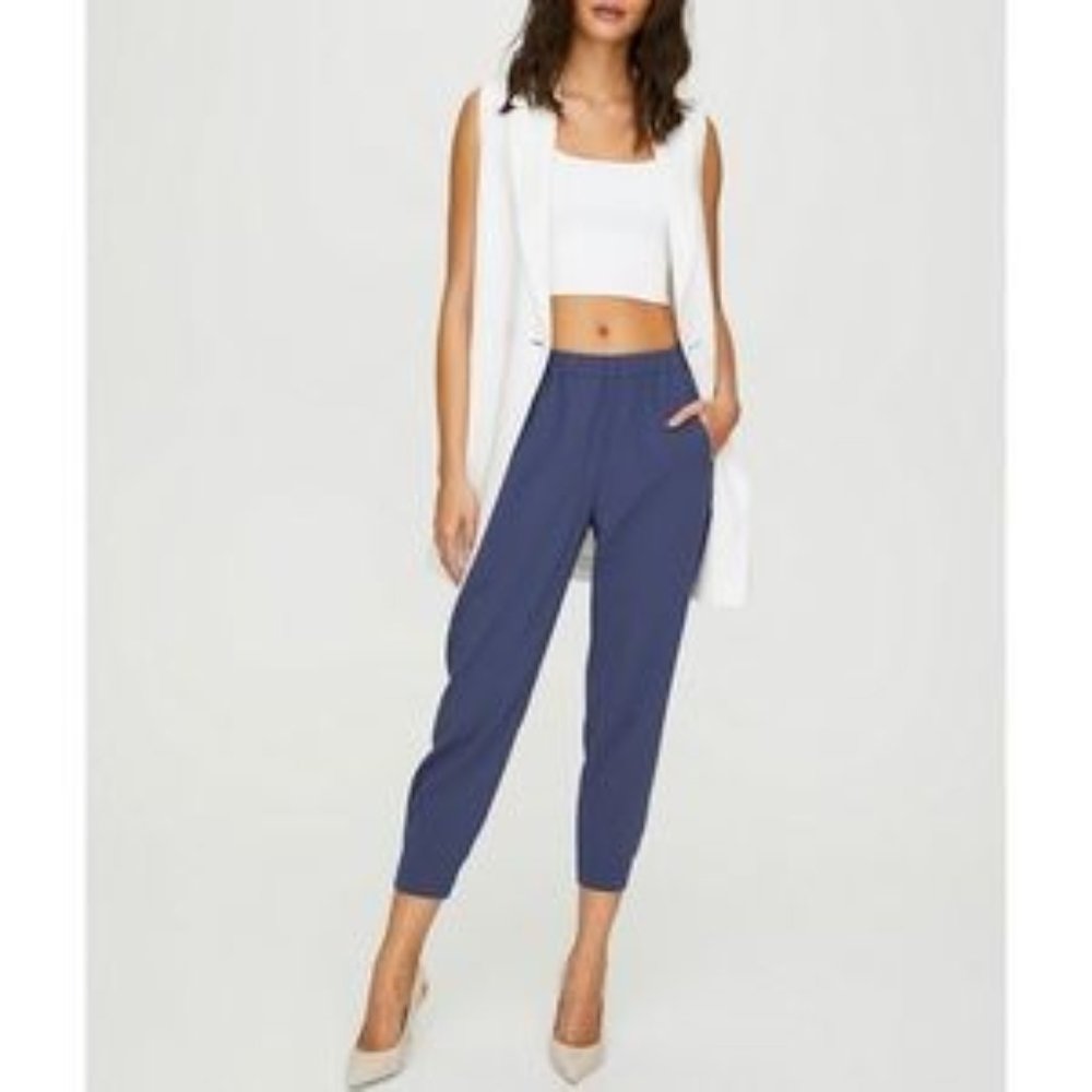 Aritzia Babaton Dexter Pants - Blue - Medium